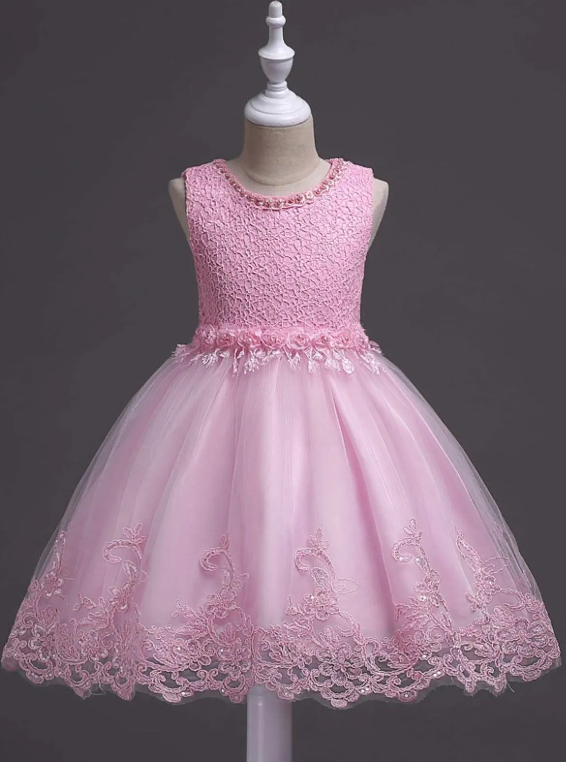 Pearls and Roses Lace Party Tutu Dress